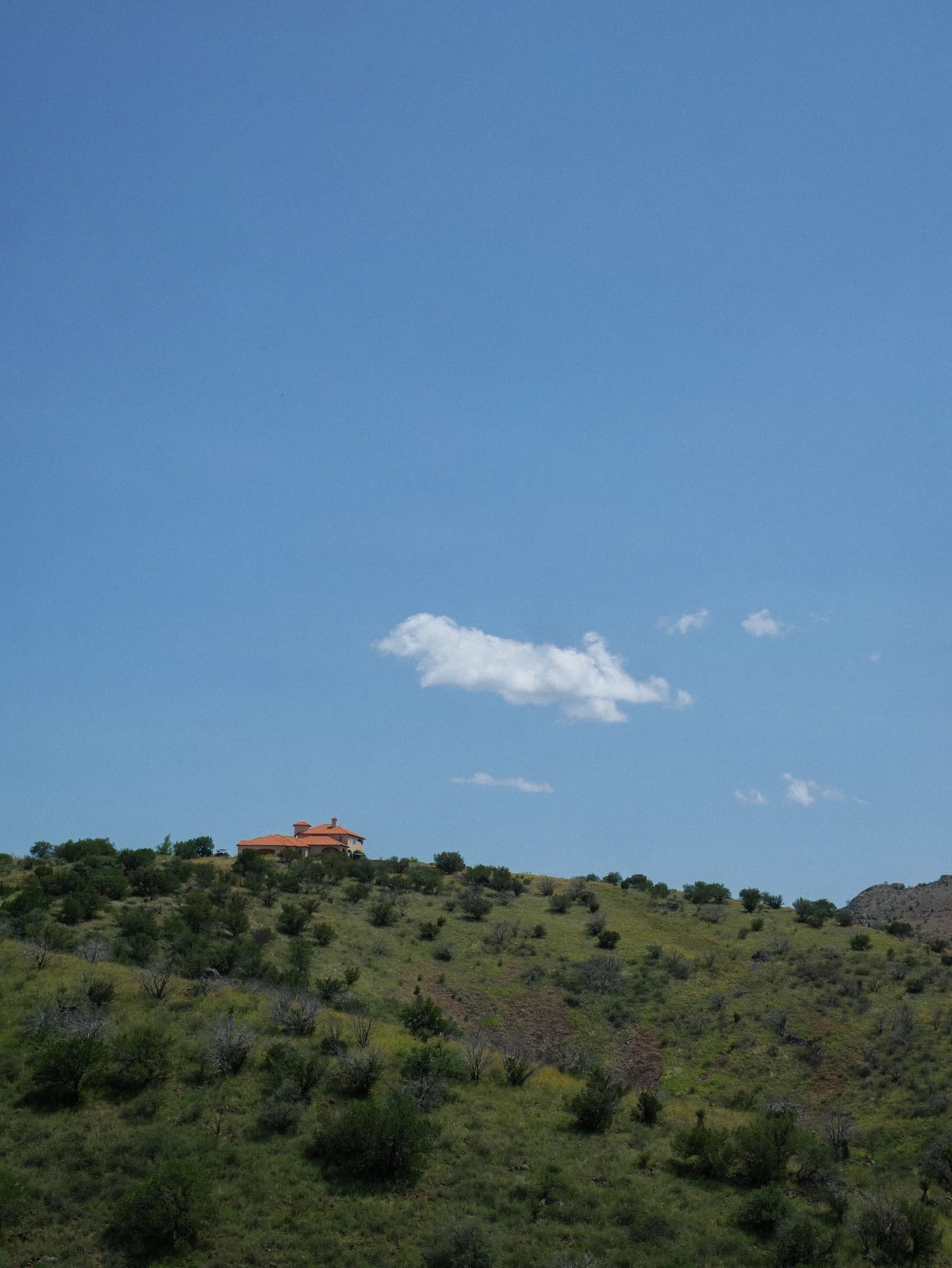 Photo 28