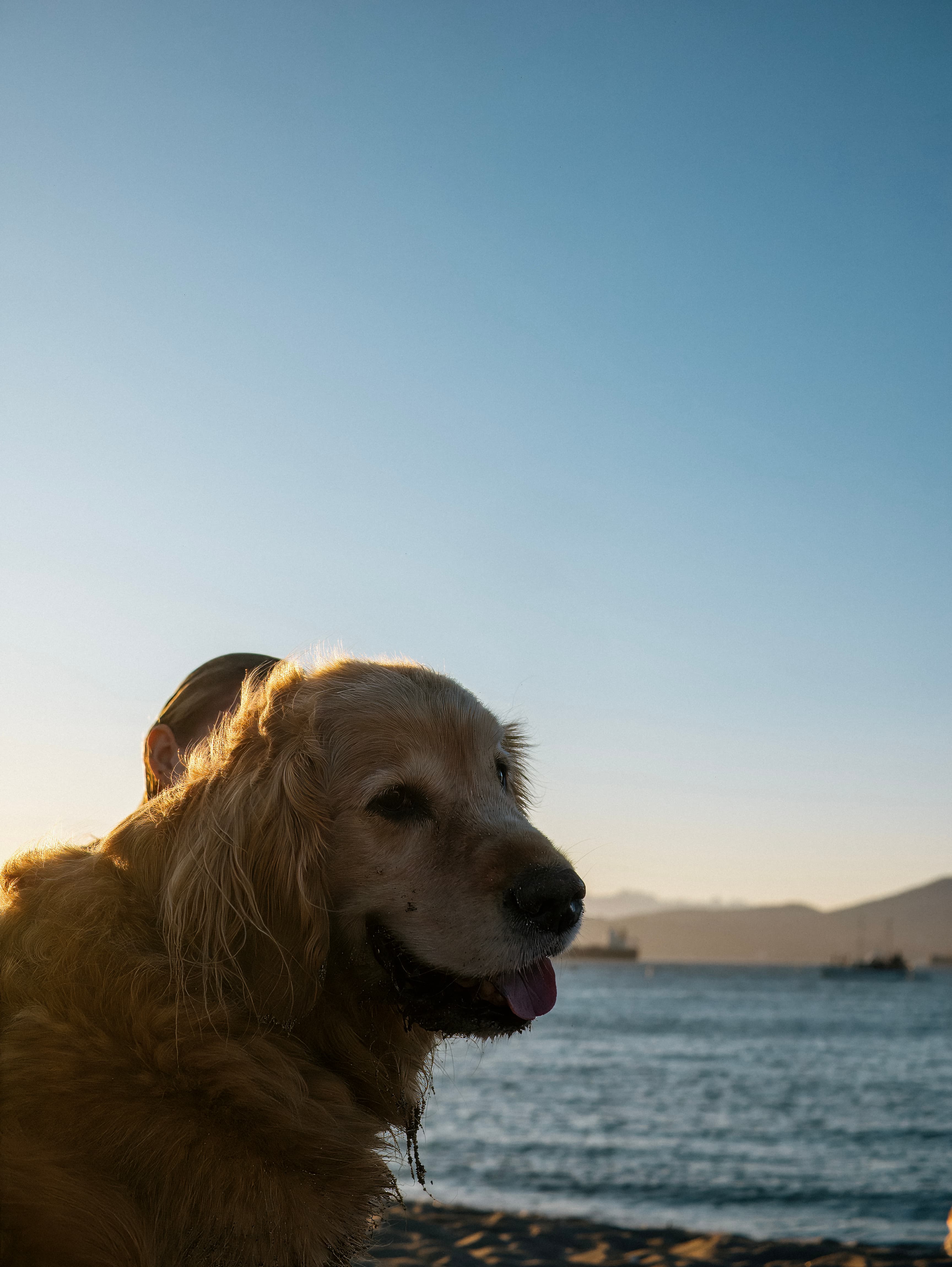 P1160487 topaz denoiseraw sharpen