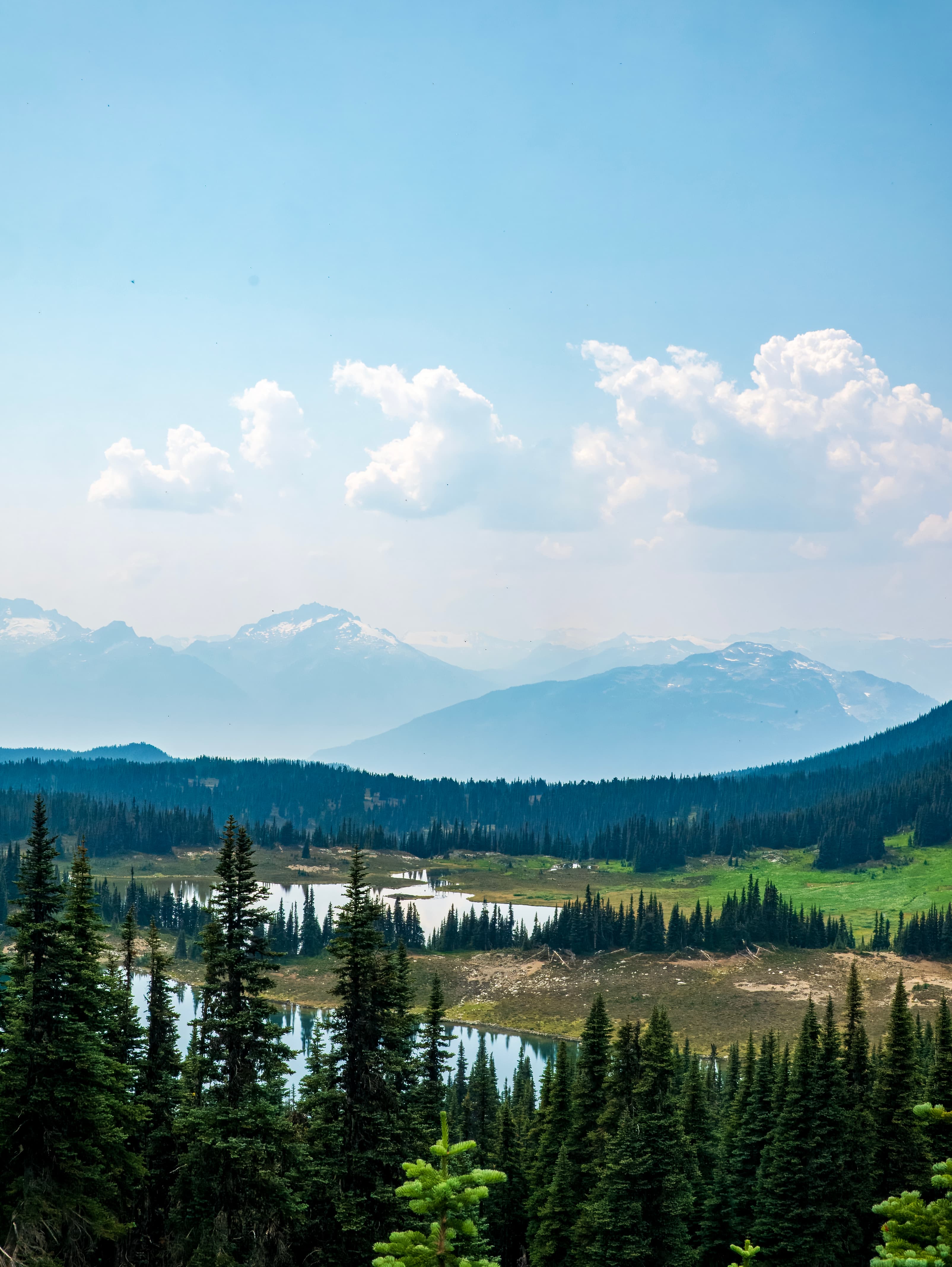 P1170080 topaz denoiseraw sharpen