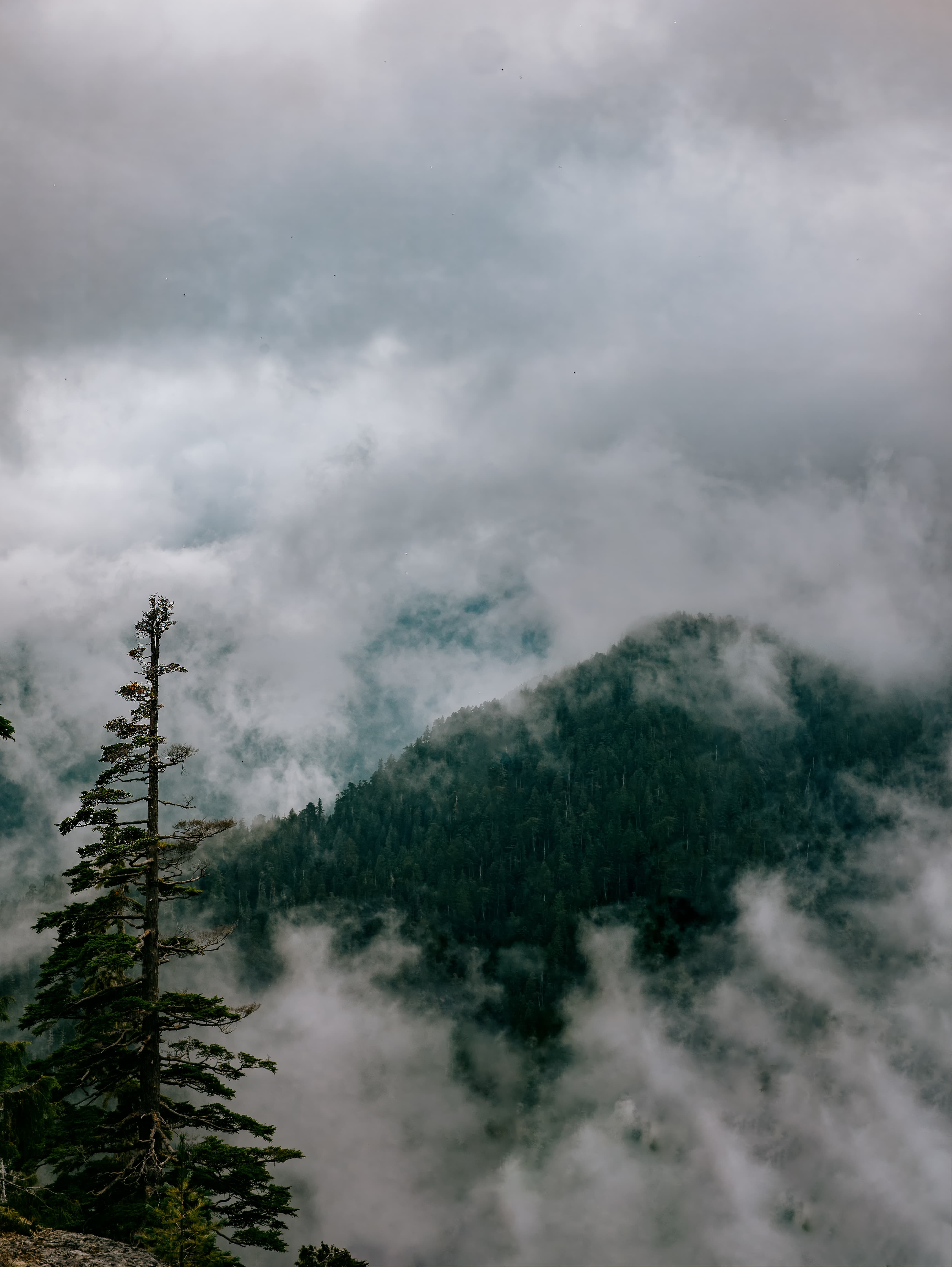 P1170204 topaz denoiseraw sharpen