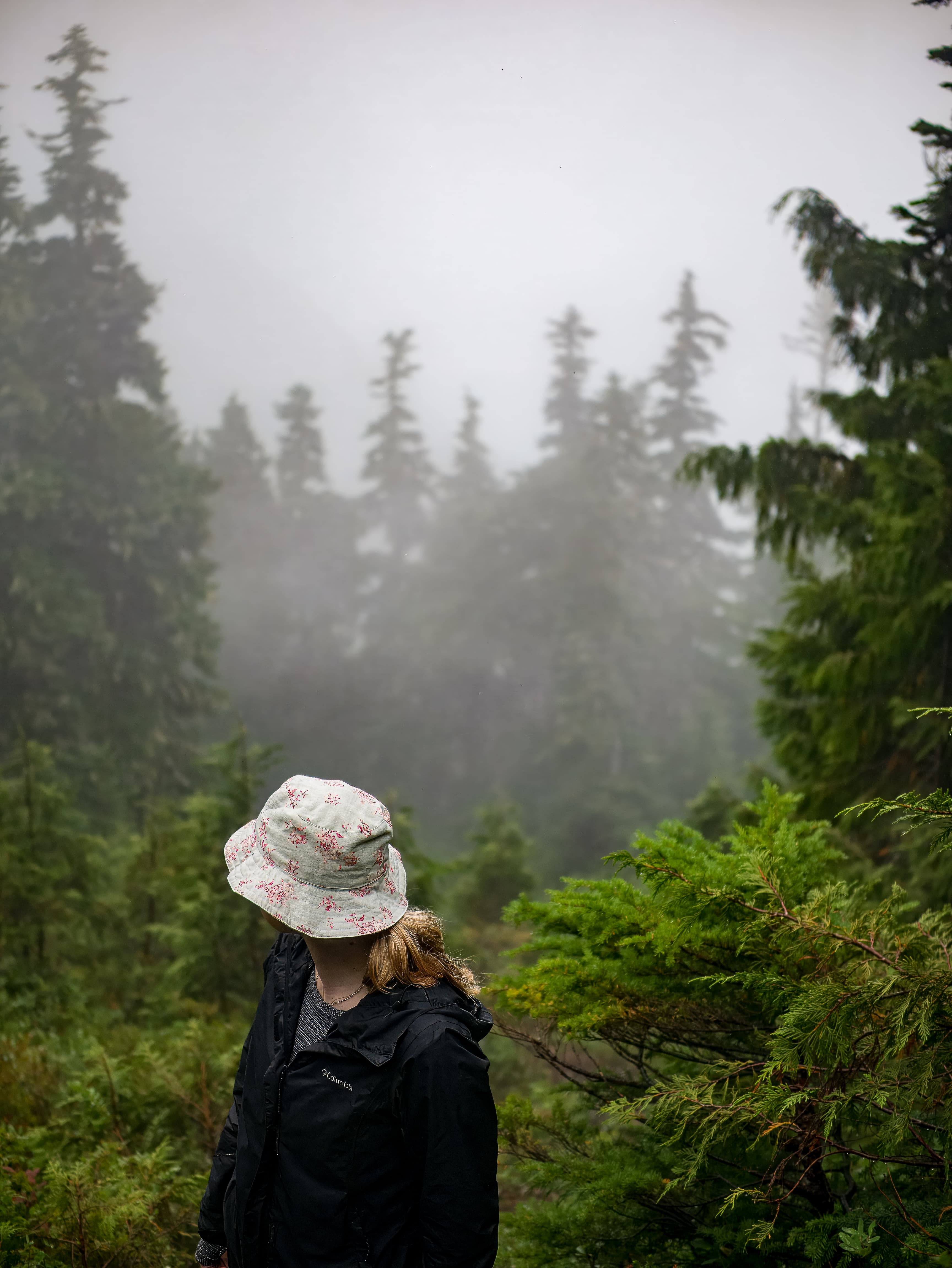 P1170236 topaz denoiseraw sharpen