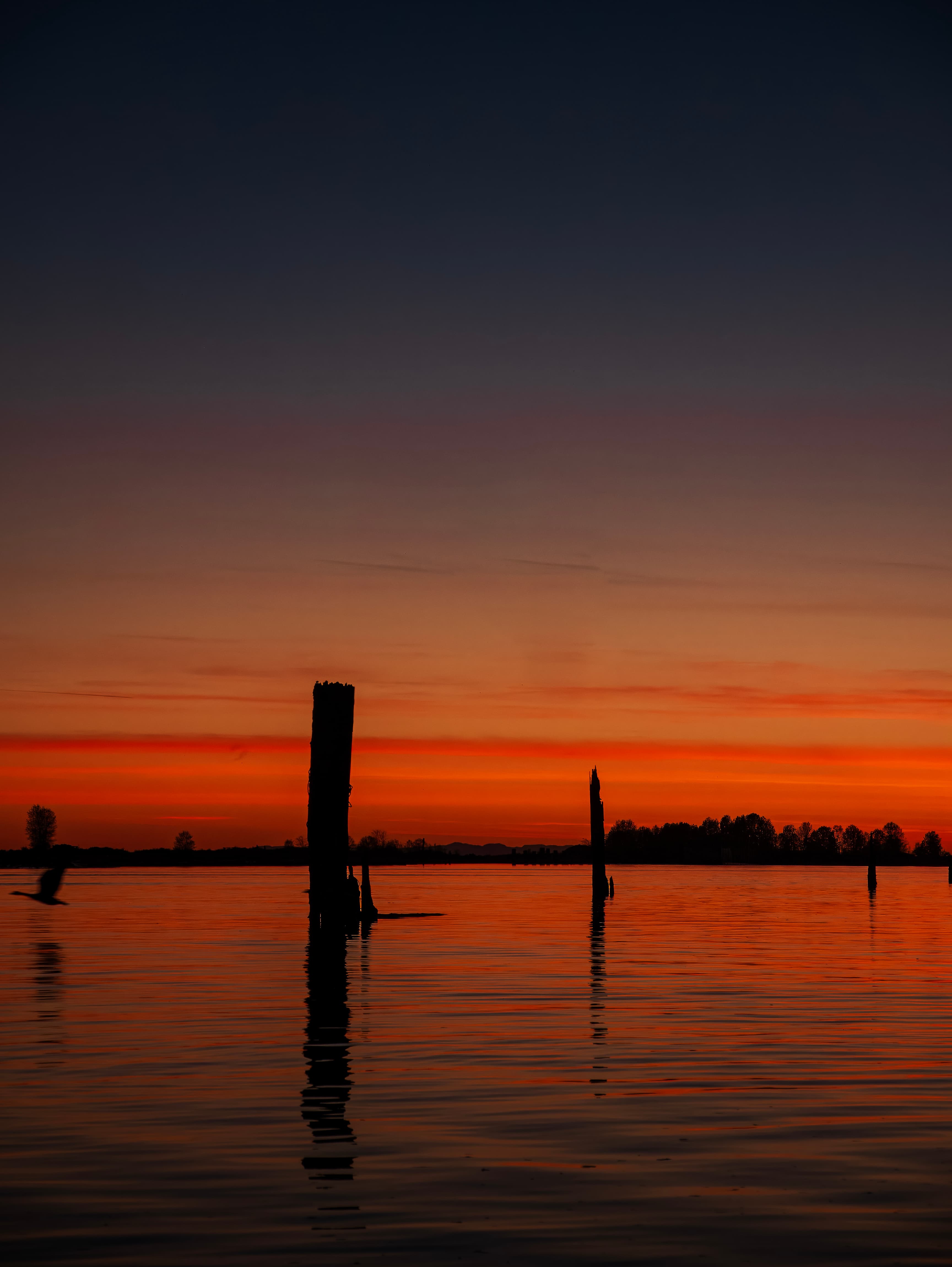 P1170366 topaz rawdenoise sharpen