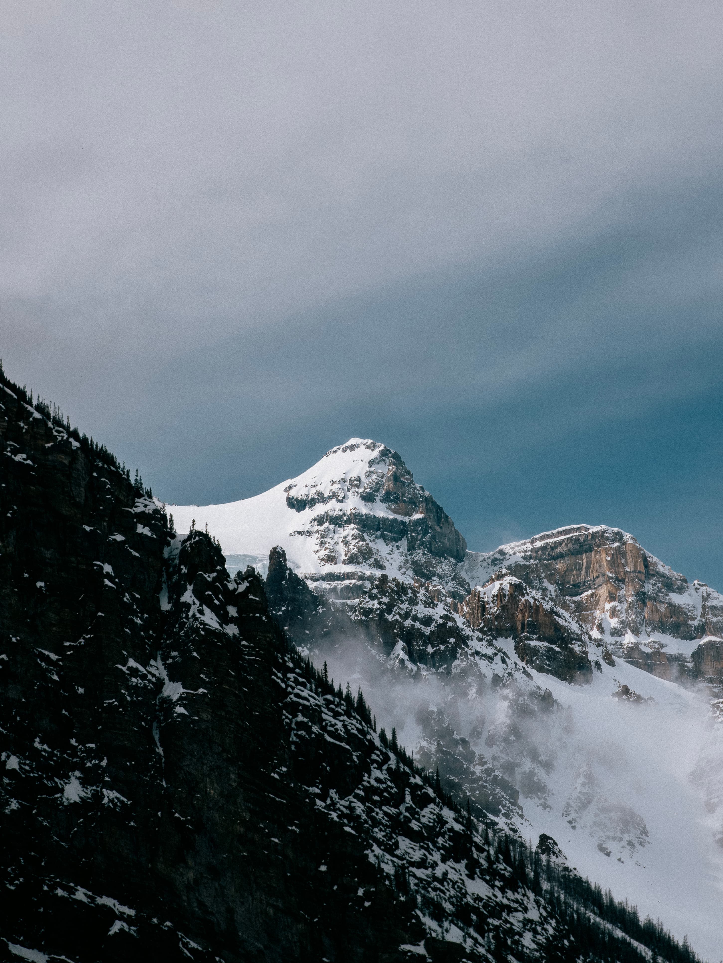 P1170460 rawdenoise sharpen 1