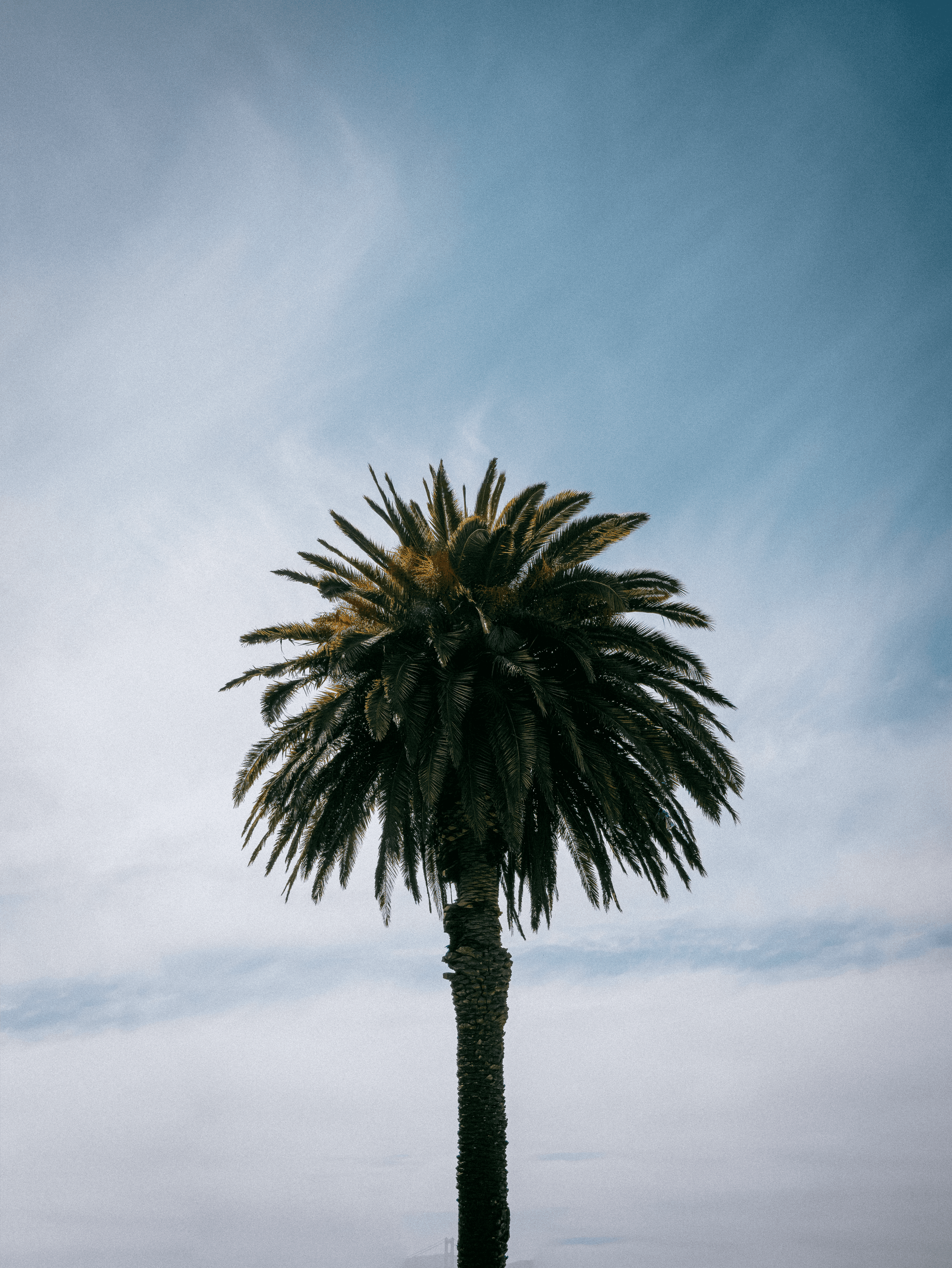 P1170635 topaz rawdenoise sharpen