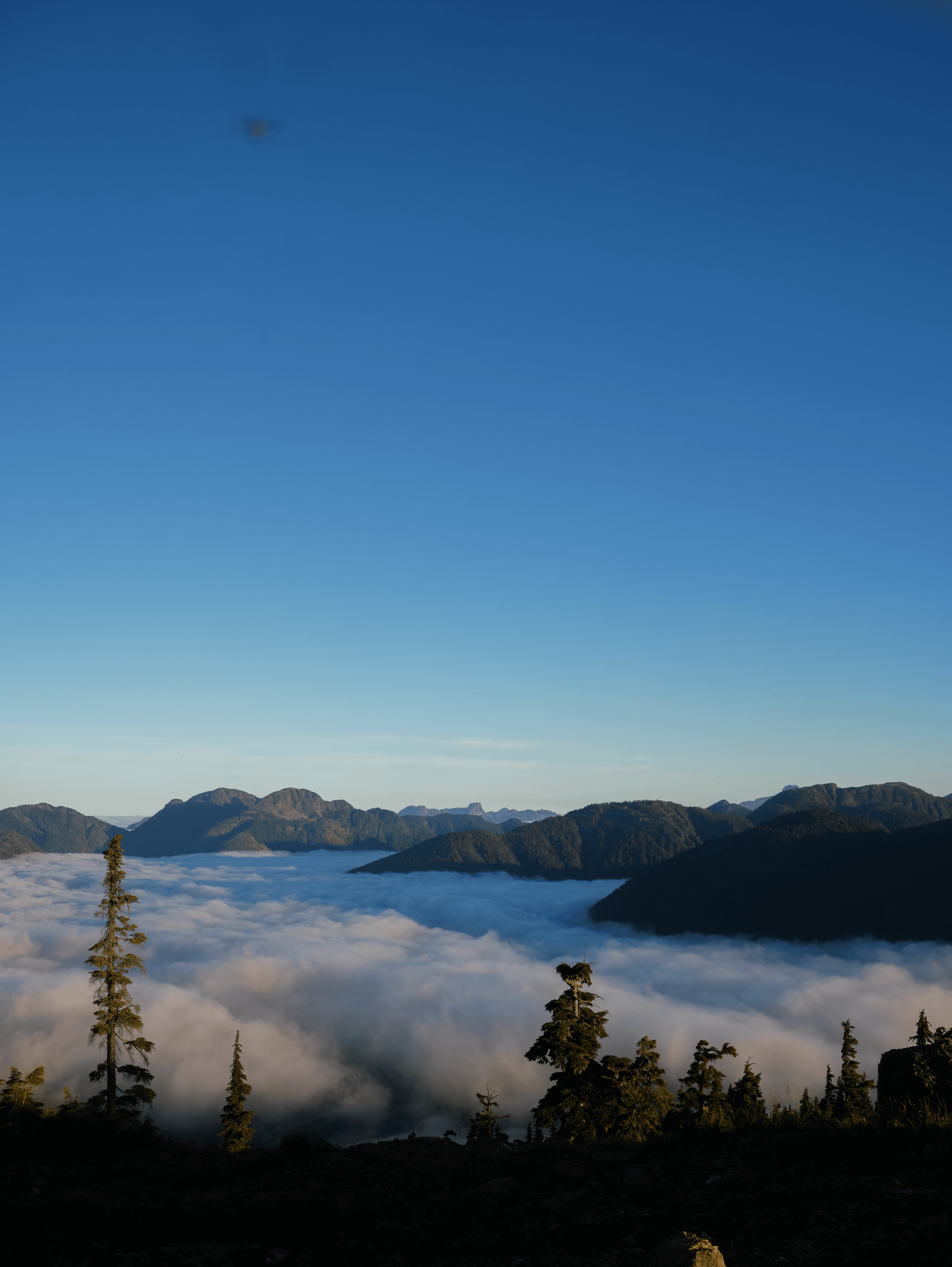 P1190858 topaz rawdenoise sharpen