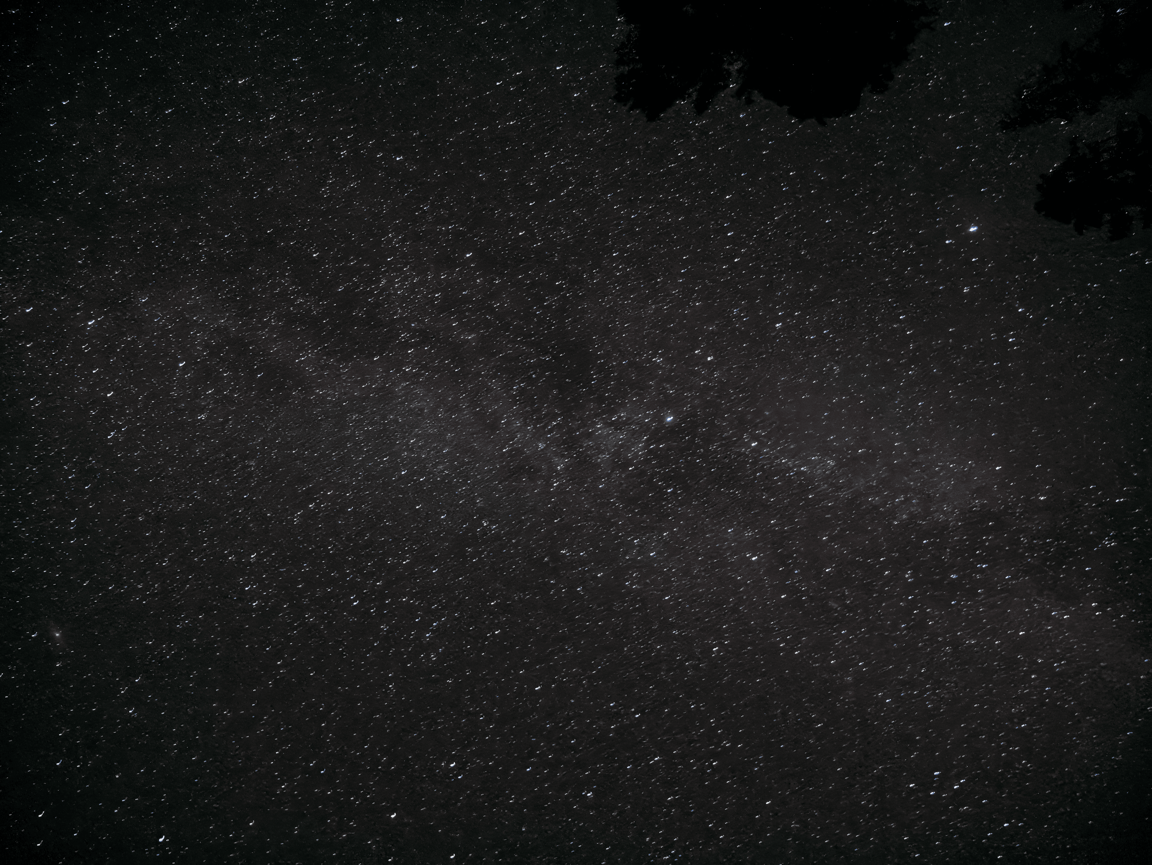 P1200052 topaz rawdenoise