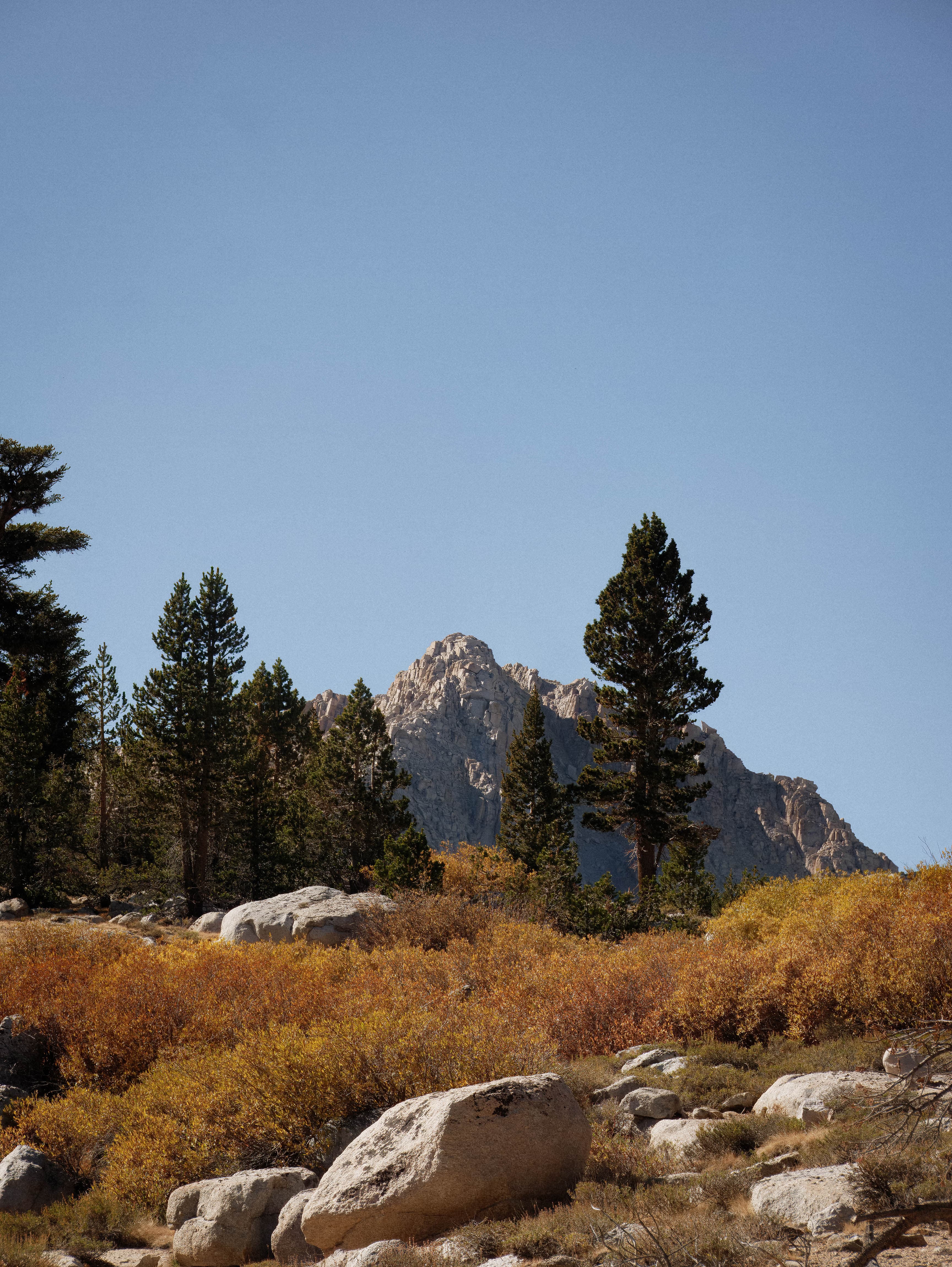 P1200210 topaz rawdenoise sharpen denoise