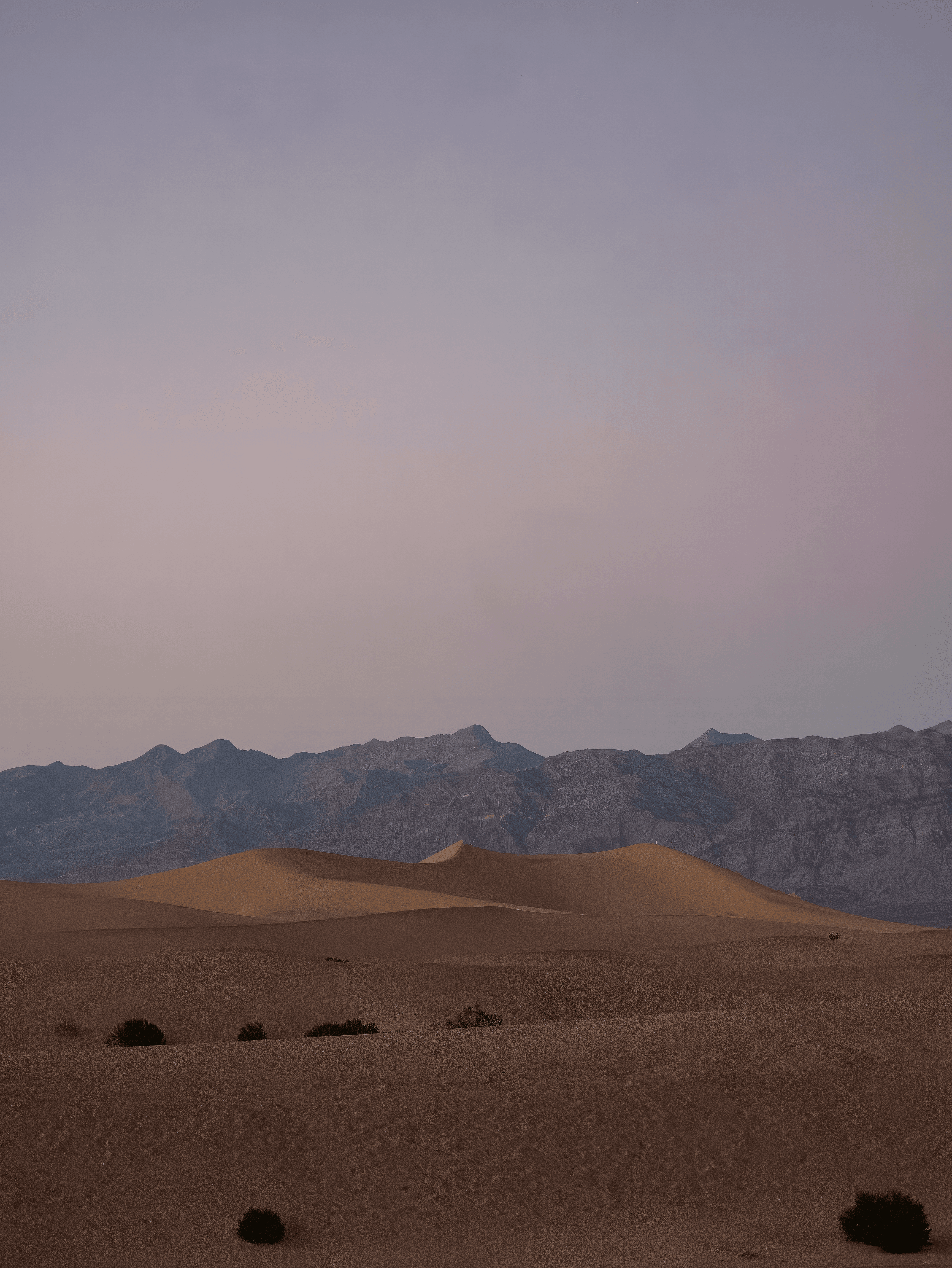 P1200426 topaz rawdenoise sharpen sharpen denoise