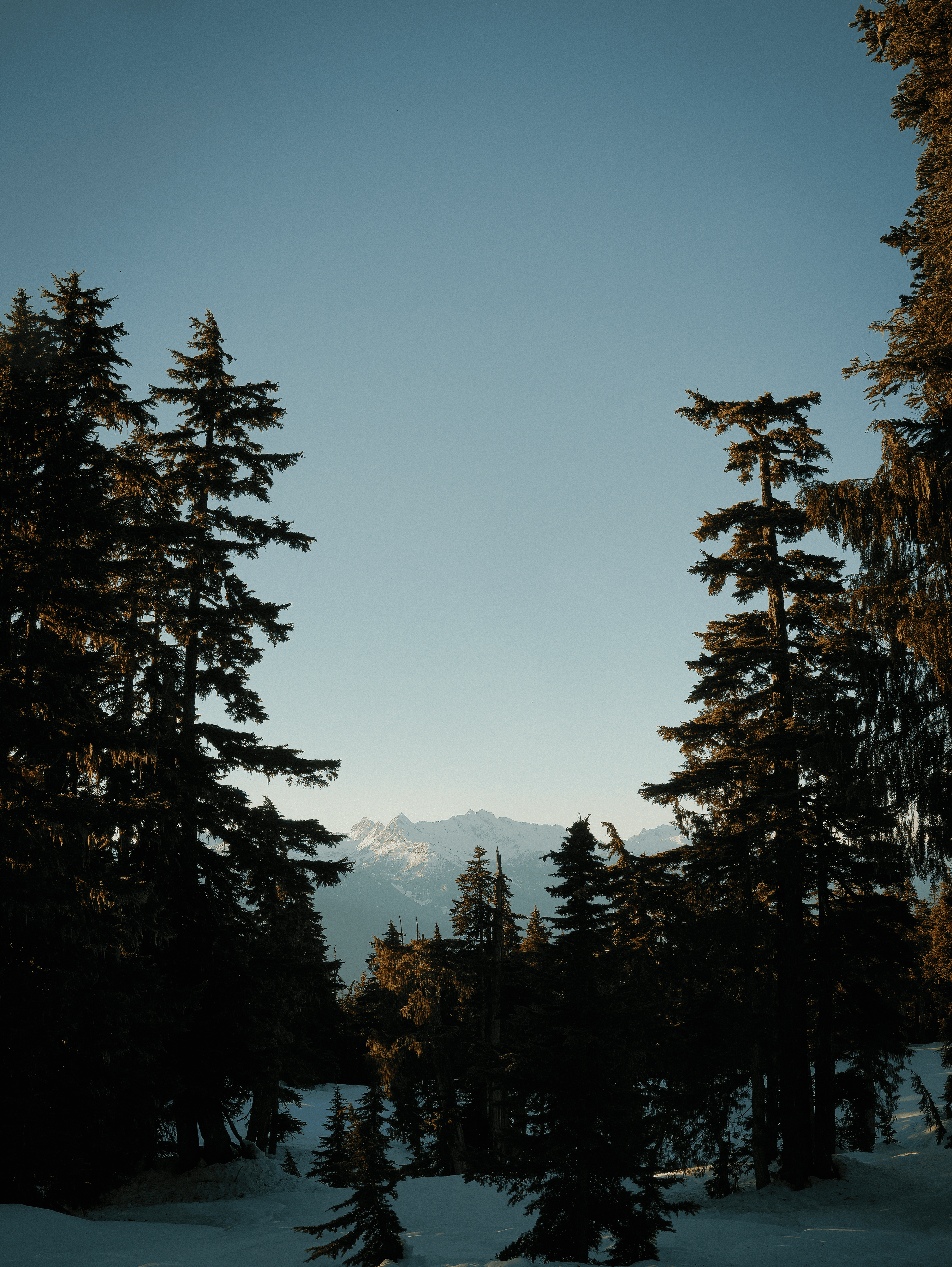 P1200574 topaz rawdenoise sharpen