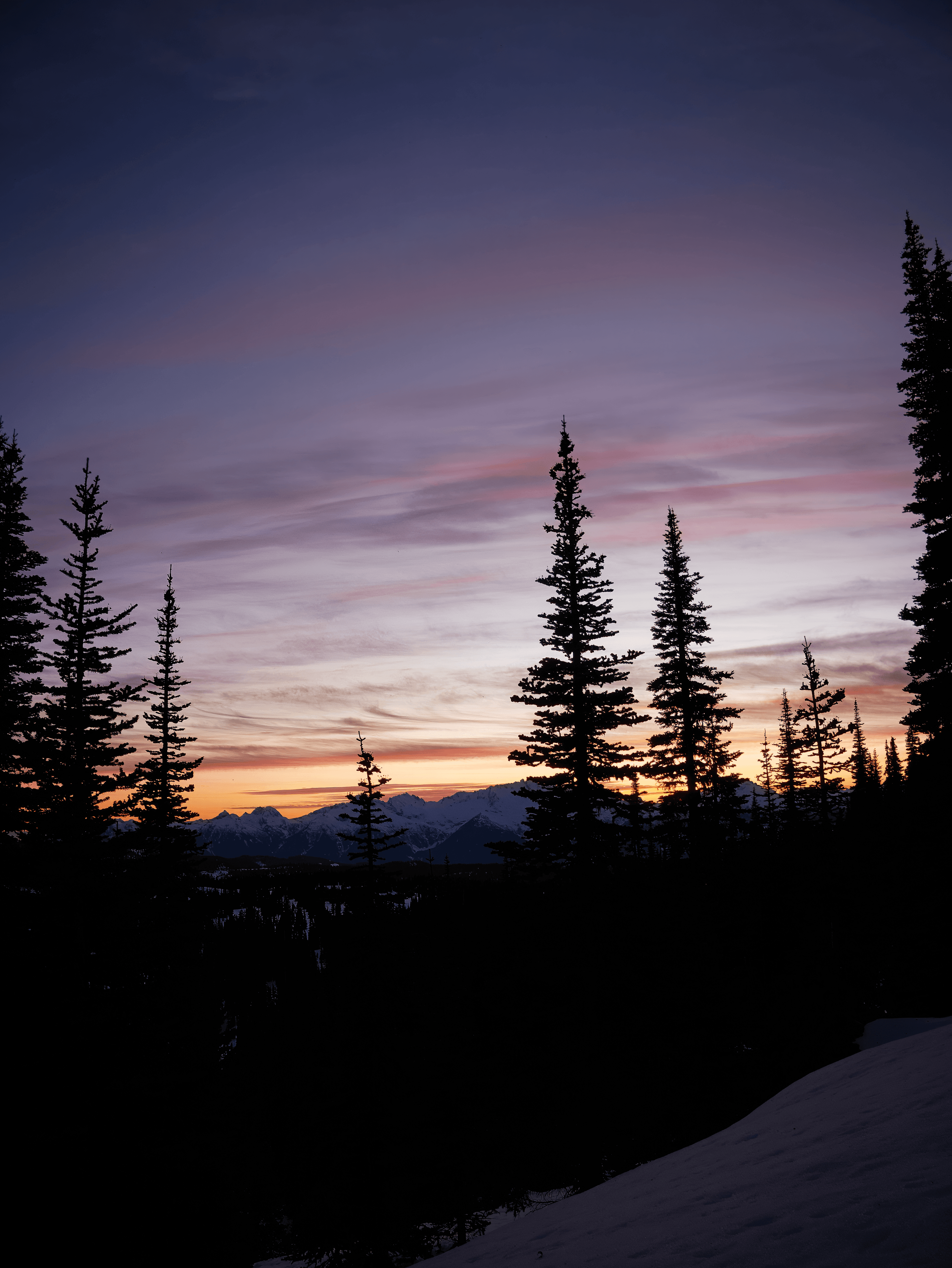 P1200677 2 topaz rawdenoise sharpen